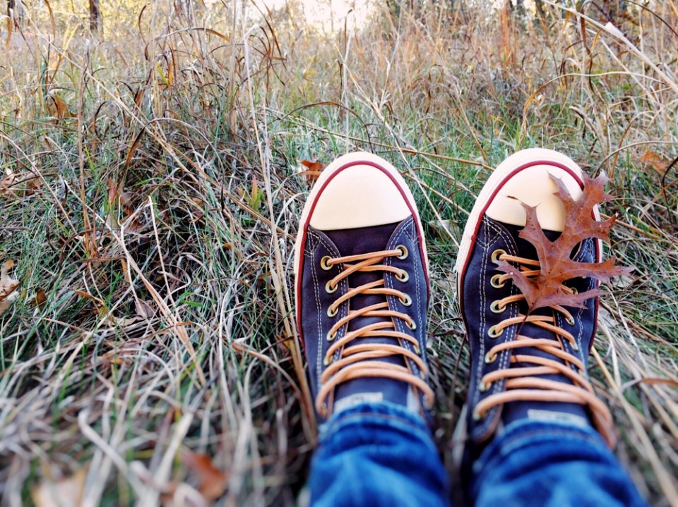 Footwear Grass Shoe Plant