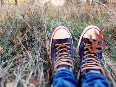 Footwear Grass Shoe Plant