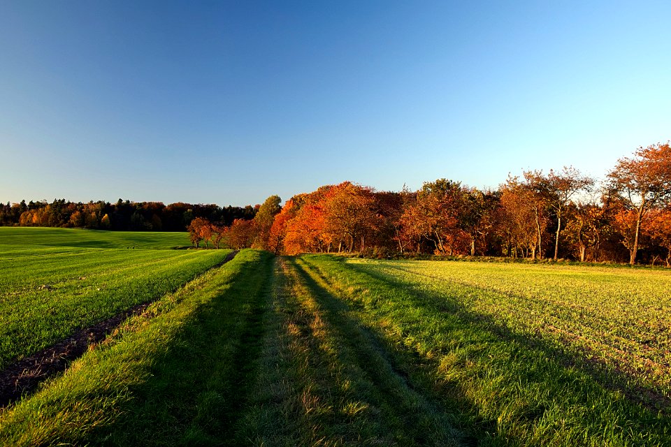 Sky Nature Field Grassland