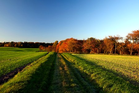 Sky Nature Field Grassland