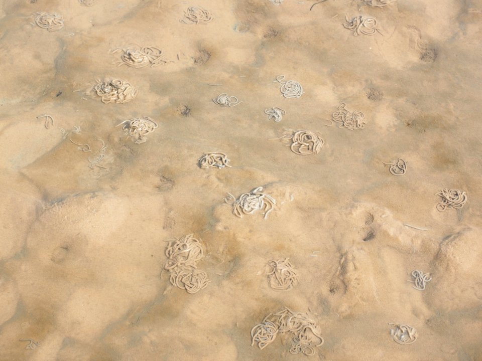 Sand Texture Sky Pattern