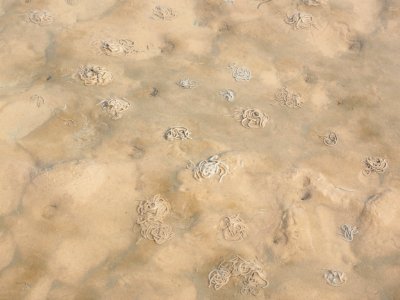 Sand Texture Sky Pattern
