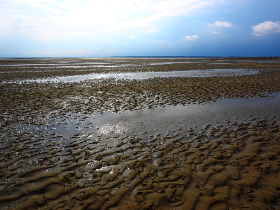 Mudflat Sea Shore Sky