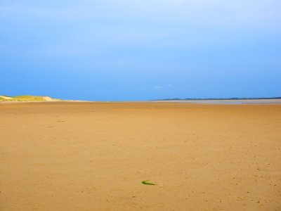 Sky Horizon Beach Sand photo