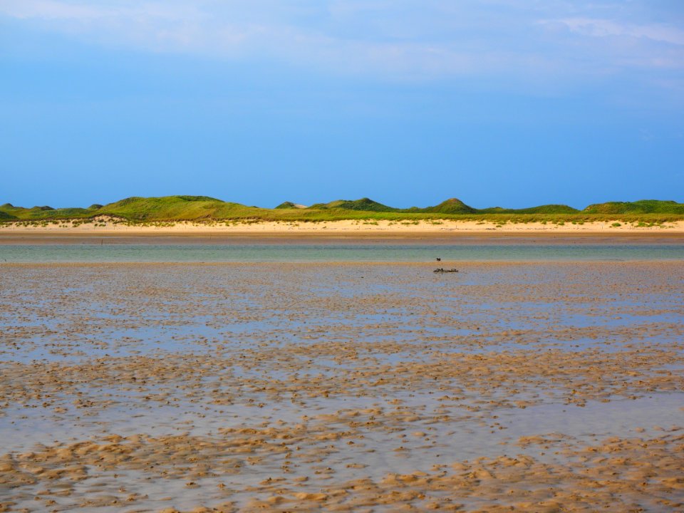 Sky Shore Sea Mudflat
