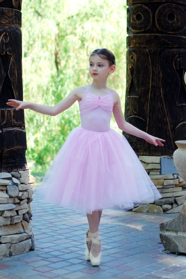 Pink Dress Ballet Tutu Gown