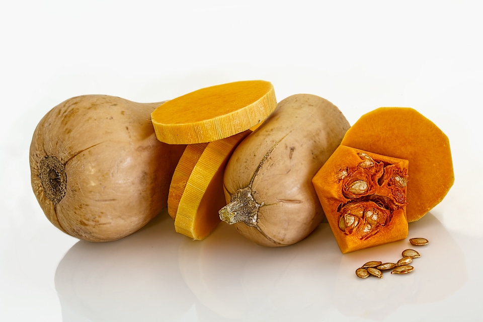 Vegetable ingredients winter squash