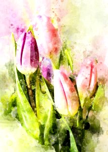 Flower Watercolor Paint Flowering Plant Petal photo