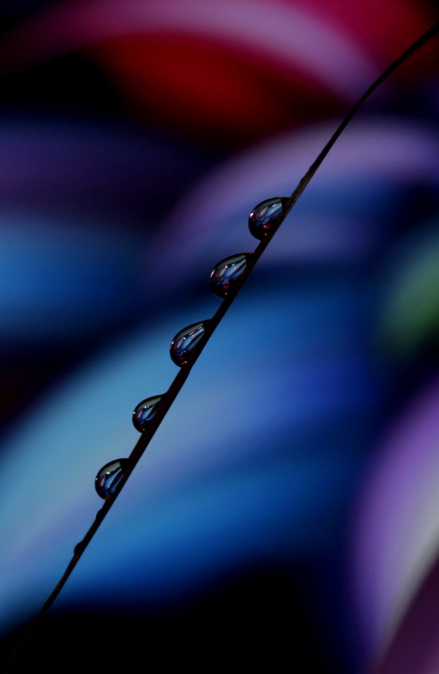 Water Macro Photography Close Up Photography