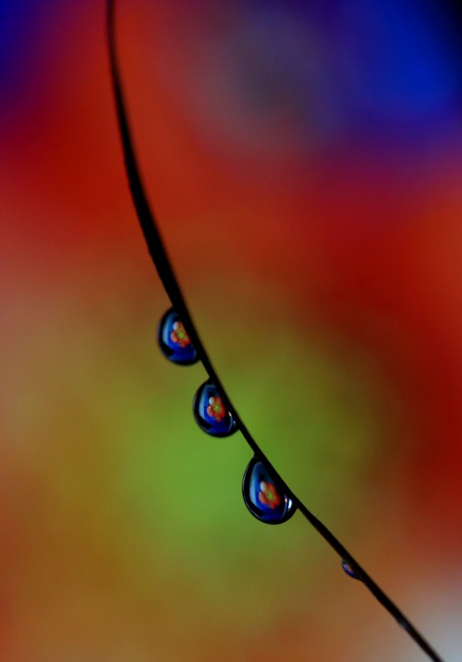 Blue Water Drop Macro Photography