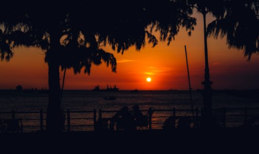 Silhouette Of Trees Near Body Of Water photo