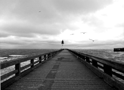 Greyscale Photography Of Birds Flying Above Dockway photo