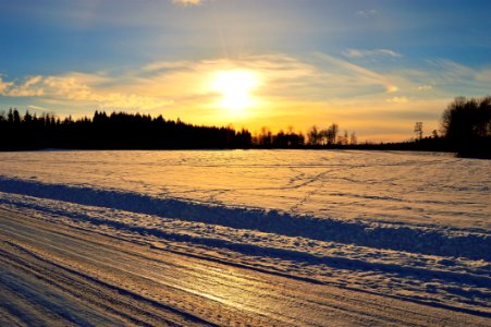 Silhouette Of Trees In Front Of Snow Field Durin Sunrise