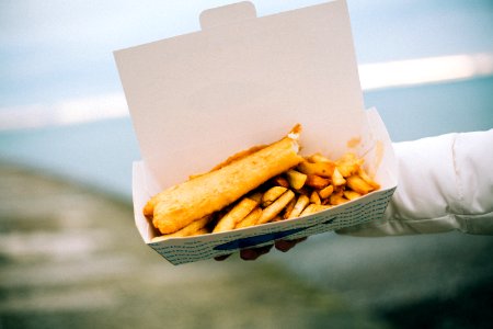 Person Holding Cooked Food photo