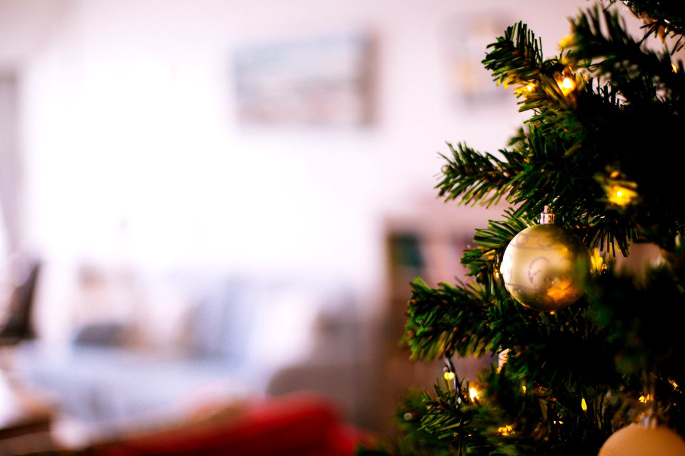 Shallow Focus Photography Of Christmas Tree
