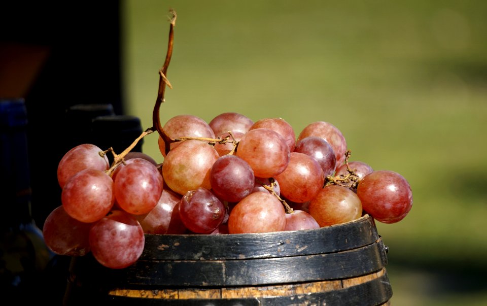 Fruit Grape Grapevine Family Food