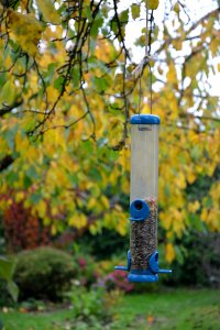 Bird Feeder Branch Tree Leaf