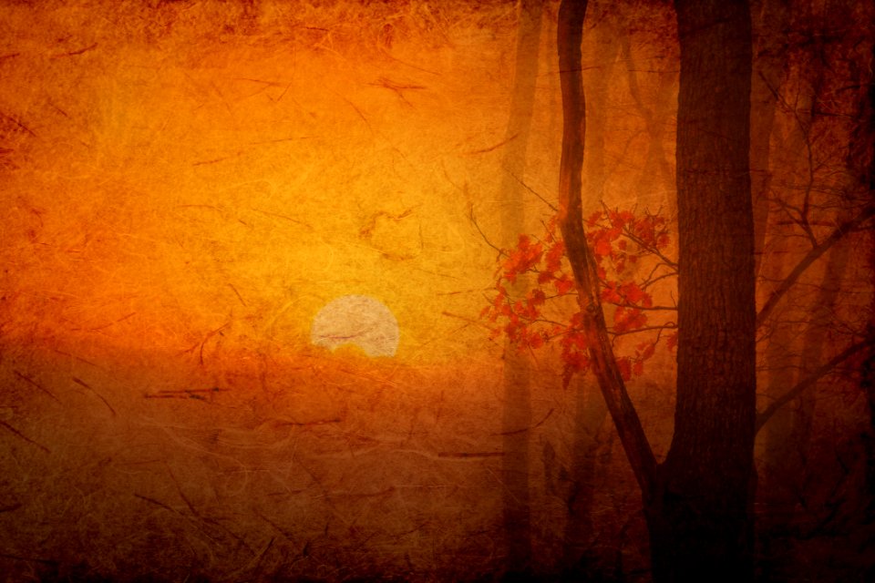 Texture Wood Wall Art
