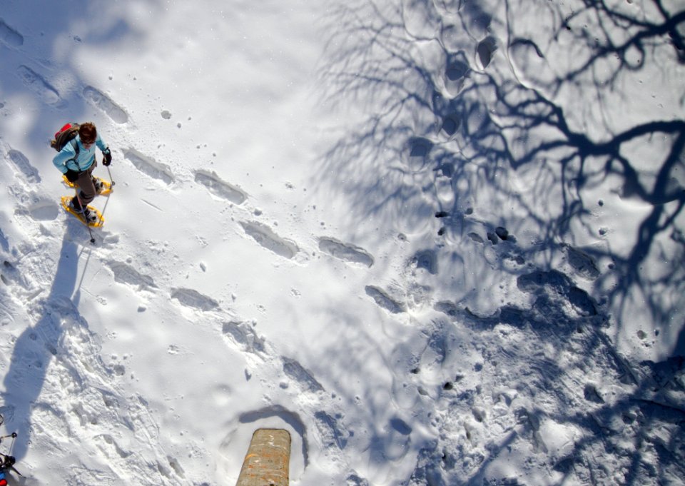 Snow Sky Extreme Sport Winter