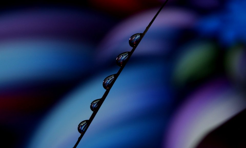 Water Macro Photography Close Up Moisture