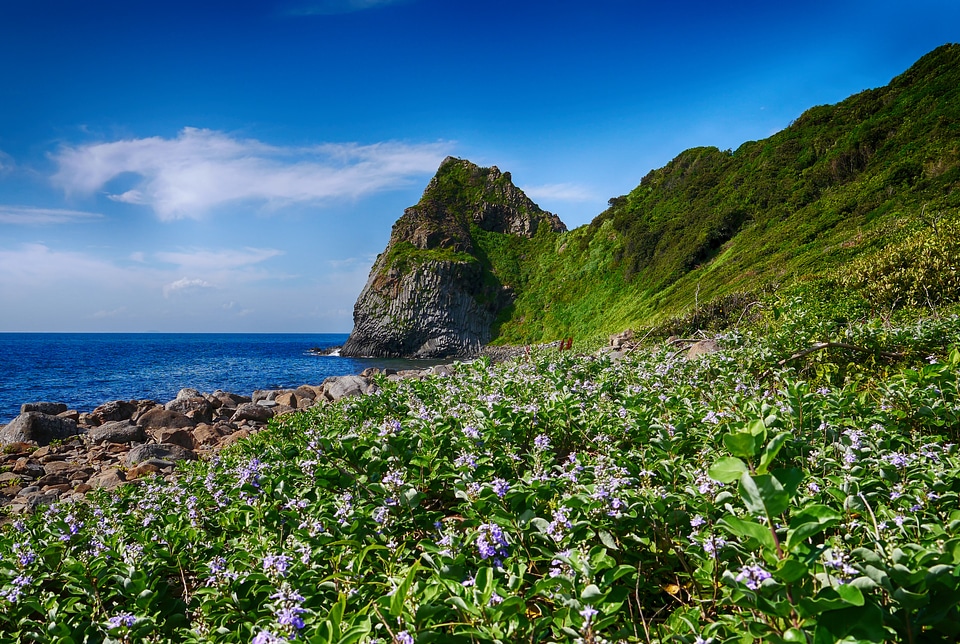 Irie seaside green space sky
