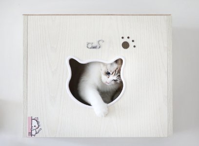 Cat Small To Medium Sized Cats Cat Like Mammal Picture Frame