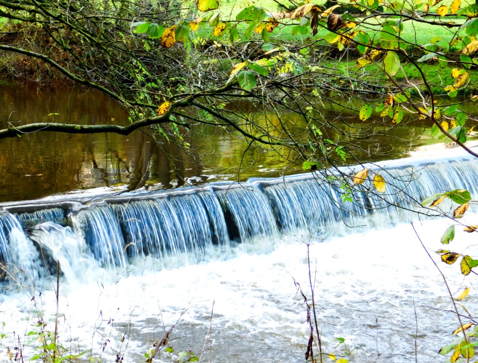 Water Nature Body Of Water Watercourse