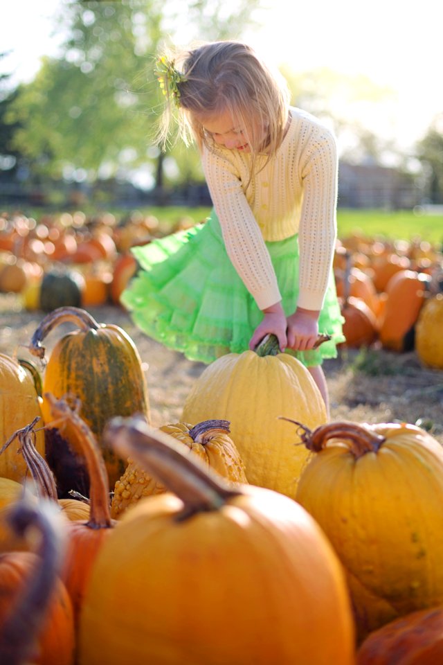 Pumpkin Calabaza Winter Squash Local Food