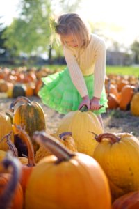 Pumpkin Calabaza Winter Squash Local Food