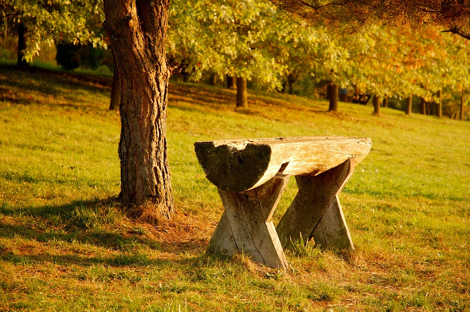 Still life wood landscape
