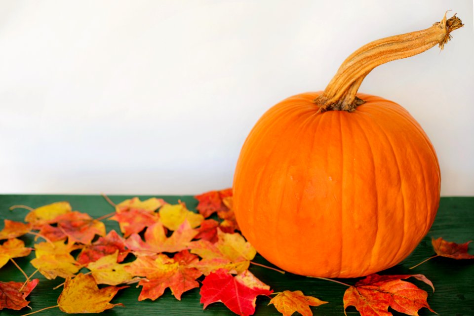 Calabaza Winter Squash Cucurbita Pumpkin