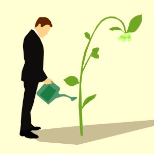 Green Leaf Human Behavior Plant