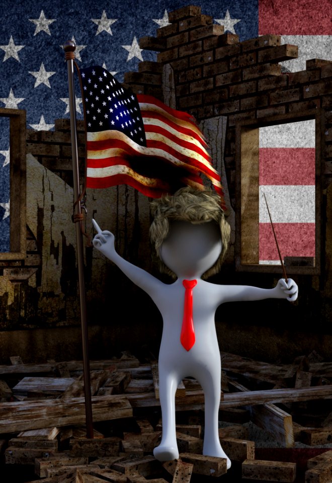 Flag Of The United States Flag