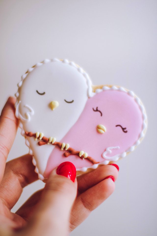 Person Holding White And Pink Birds Ornament