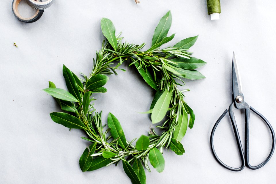 Green Leaf Wreath On White Surface