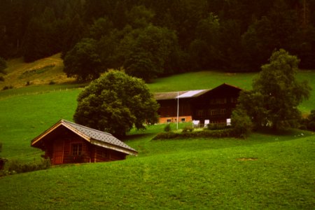 Two Brown Wooden Cabins In Green Grass Field