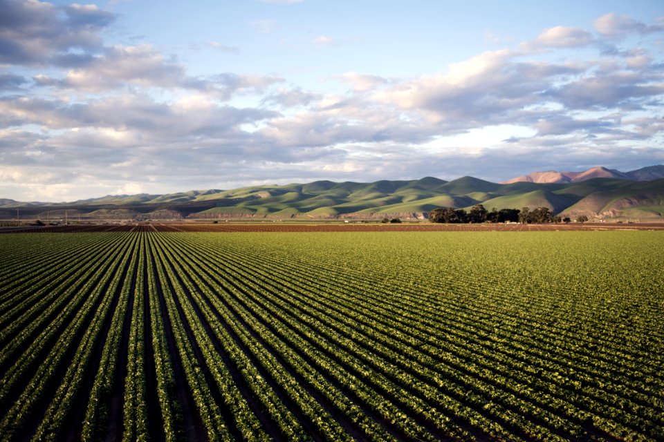 Photo Of Green Field Near Mountains photo