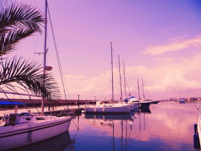 Photo Of Sailboats On The Water