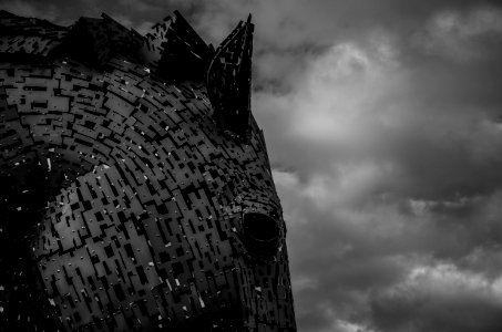 Grayscale Photography Of Horse Head And Clouds photo