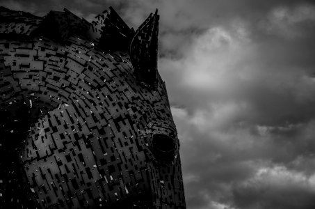 Grayscale Photography Of Horse Head And Clouds