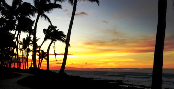 Sunset Sunrise Sky Horizon