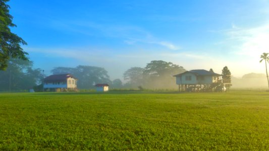 Grassland Field Farm Sky