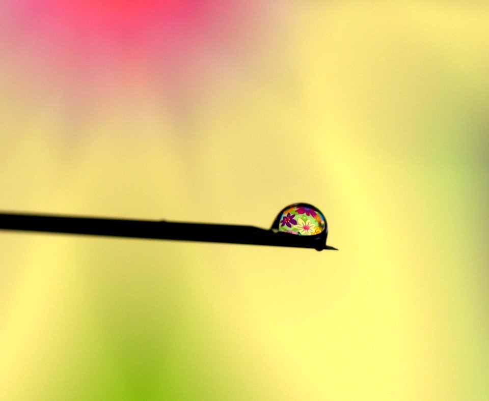 Close Up Macro Photography Water Moisture