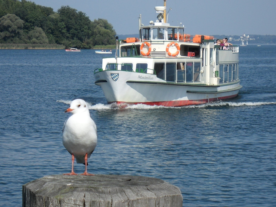 Lake chiemsee water