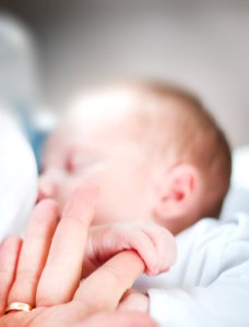 Tilt-shift Lens Photo Of Infants Hand Holding Index Finger Of Adult photo