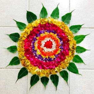 Pink Yellow And Green Leaves And Flowers Art