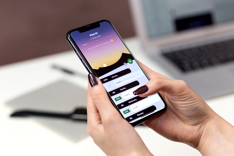 Person Holding A Smartphone