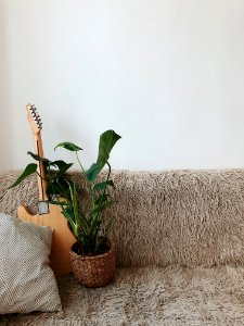 Green Leaf Plant Beside Brown Electric Guitar On Sofa photo