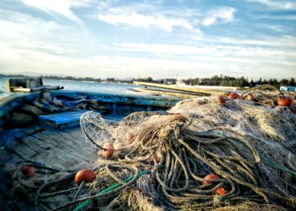 Fish Net On Gray Surface photo