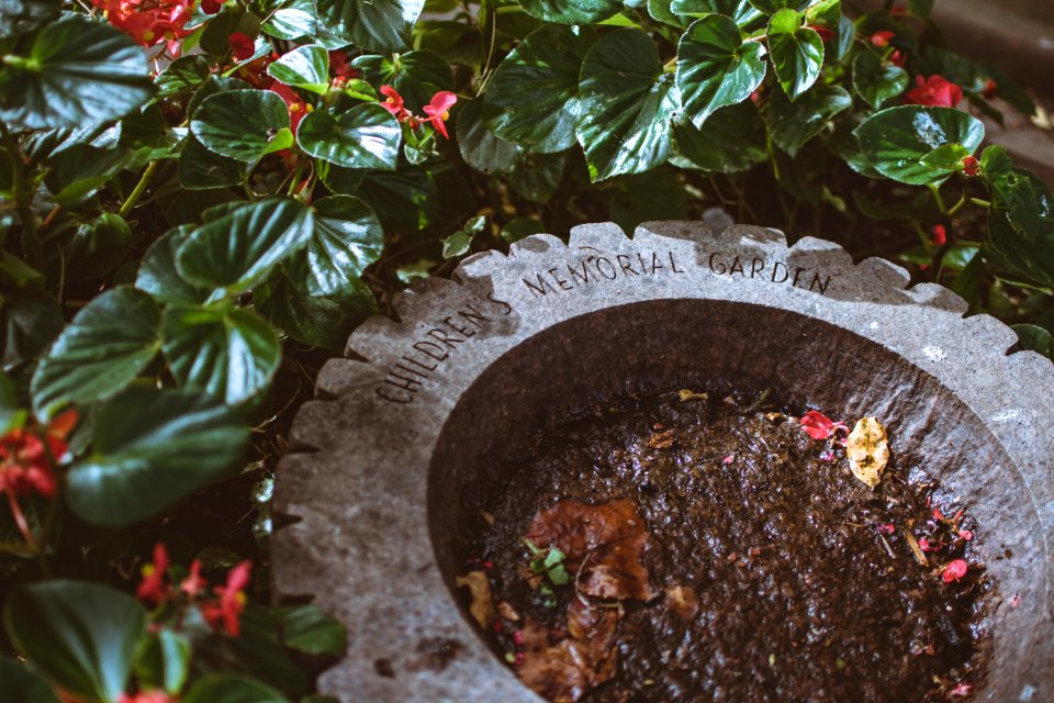 Childrens Memorial Garden